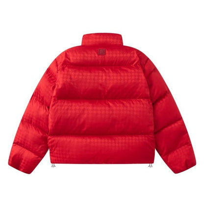 Amiri Fashion Down jacket